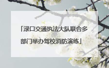 渌口交通执法大队联合多部门举办驾校消防演练