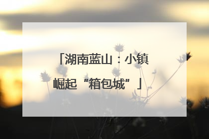 湖南蓝山：小镇崛起“箱包城”