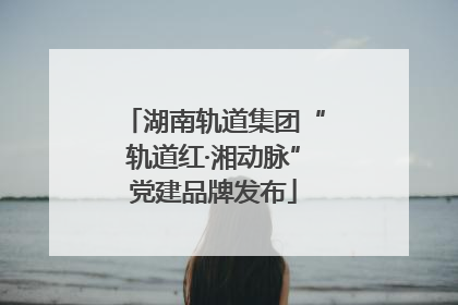湖南轨道集团“轨道红·湘动脉”党建品牌发布