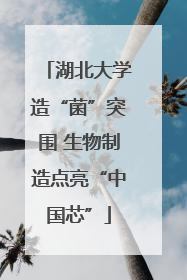 湖北大学造“菌”突围 生物制造点亮“中国芯”