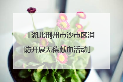 湖北荆州市沙市区消防开展无偿献血活动