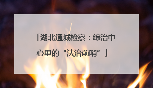 湖北通城检察：综治中心里的“法治前哨”