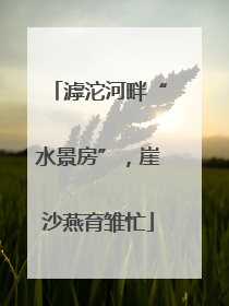 滹沱河畔“水景房”，崖沙燕育雏忙