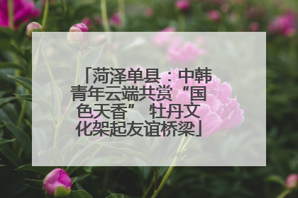 菏泽单县：中韩青年云端共赏“国色天香” 牡丹文化架起友谊桥梁