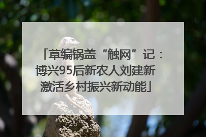 草编锅盖“触网”记：博兴95后新农人刘建新激活乡村振兴新动能