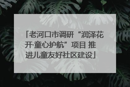 老河口市调研“润泽花开·童心护航”项目 推进儿童友好社区建设