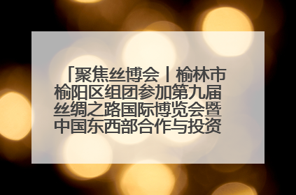 聚焦丝博会丨榆林市榆阳区组团参加第九届丝绸之路国际博览会暨中国东西部合作与投资贸易洽谈会