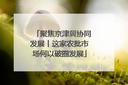 聚焦京津冀协同发展丨这家农批市场何以破圈发展