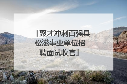 聚才冲刺百强县 松滋事业单位招聘面试收官