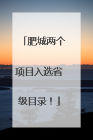 肥城两个项目入选省级目录！