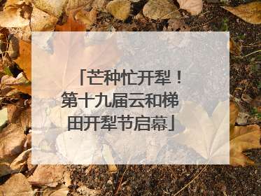 芒种忙开犁！第十九届云和梯田开犁节启幕