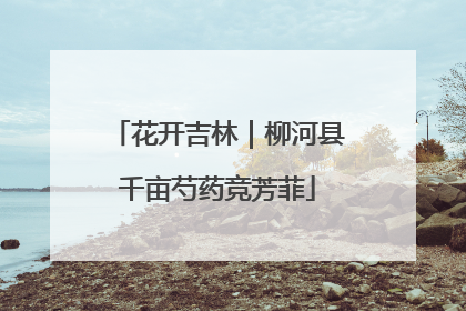 花开吉林｜柳河县千亩芍药竞芳菲
