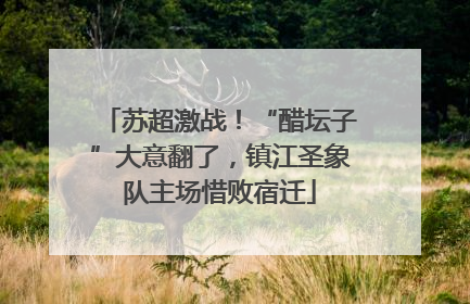 苏超激战！“醋坛子”大意翻了，镇江圣象队主场惜败宿迁