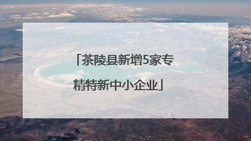 茶陵县新增5家专精特新中小企业