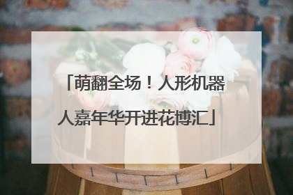 萌翻全场！人形机器人嘉年华开进花博汇