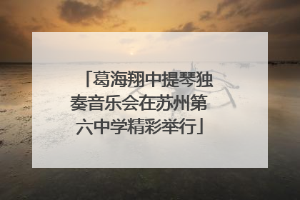 葛海翔中提琴独奏音乐会在苏州第六中学精彩举行