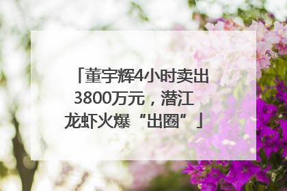 董宇辉4小时卖出3800万元，潜江龙虾火爆“出圈”