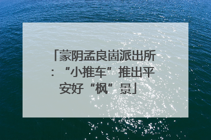 蒙阴孟良崮派出所：“小推车”推出平安好“枫”景