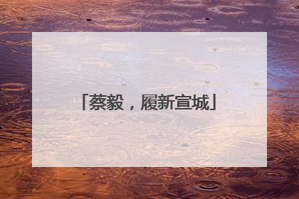 蔡毅，履新宣城