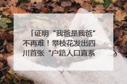 证明“我爸是我爸”不再难！攀枝花发出四川首张“户籍人口直系亲属关系谱”