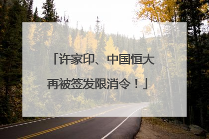 许家印、中国恒大再被签发限消令！