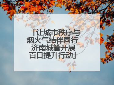 让城市秩序与烟火气结伴同行 济南城管开展百日提升行动