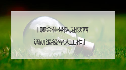 裴金佳带队赴陕西调研退役军人工作