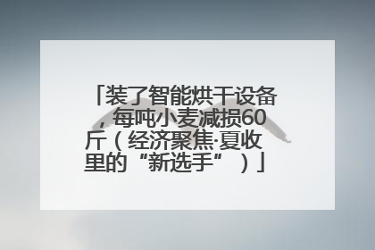 装了智能烘干设备，每吨小麦减损60斤（经济聚焦·夏收里的“新选手”）