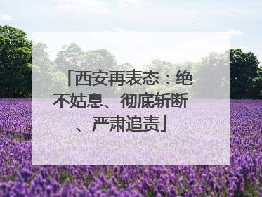 西安再表态：绝不姑息、彻底斩断、严肃追责