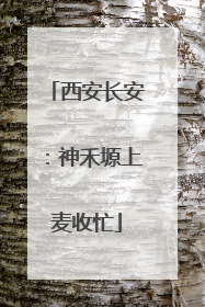 西安长安：神禾塬上麦收忙