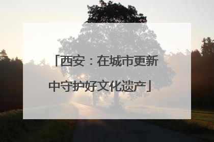 西安：在城市更新中守护好文化遗产