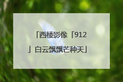西楼影像「912」白云飘飘芒种天