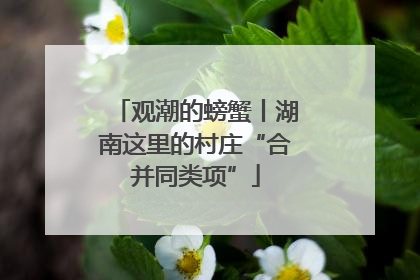观潮的螃蟹丨湖南这里的村庄“合并同类项”