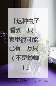 这种虫子看到一只，家里很可能已有一万只（不是蟑螂）