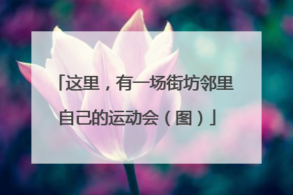 这里，有一场街坊邻里自己的运动会（图）