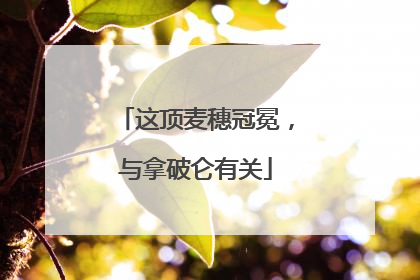 这顶麦穗冠冕，与拿破仑有关