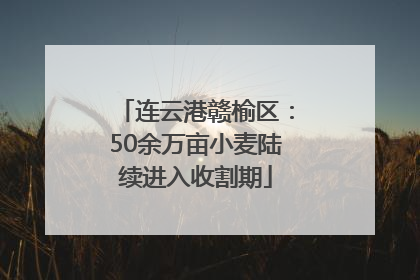 连云港赣榆区：50余万亩小麦陆续进入收割期