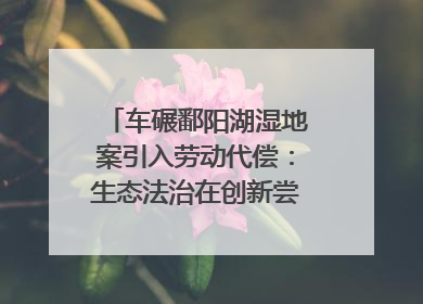 车碾鄱阳湖湿地案引入劳动代偿：生态法治在创新尝试｜有一说一