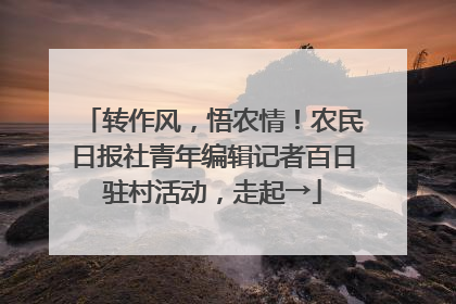 转作风，悟农情！农民日报社青年编辑记者百日驻村活动，走起→