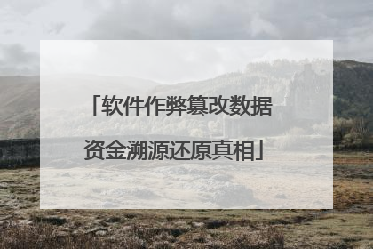 软件作弊篡改数据 资金溯源还原真相
