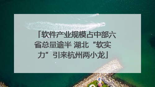 软件产业规模占中部六省总量逾半 湖北“软实力”引来杭州两小龙