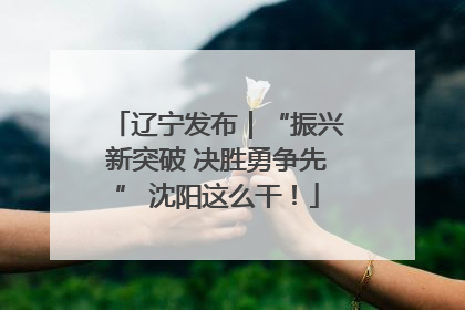 辽宁发布｜“振兴新突破 决胜勇争先” 沈阳这么干！