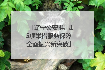 辽宁公安推出15项举措服务保障全面振兴新突破