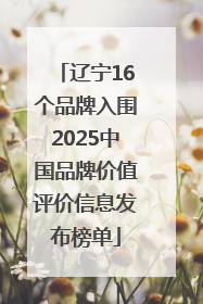 辽宁16个品牌入围2025中国品牌价值评价信息发布榜单