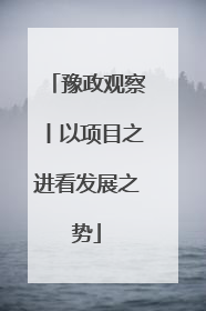 豫政观察丨以项目之进看发展之势
