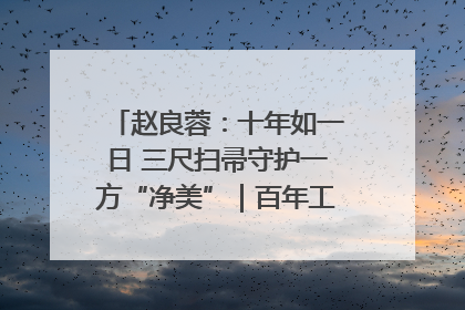 赵良蓉：十年如一日 三尺扫帚守护一方“净美”｜百年工运·劳模说