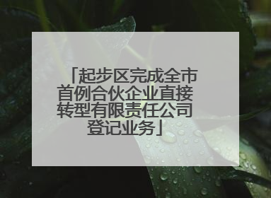 起步区完成全市首例合伙企业直接转型有限责任公司登记业务