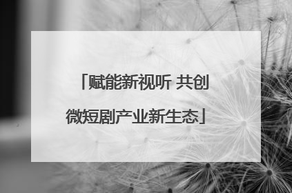 赋能新视听 共创微短剧产业新生态