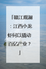 赣江观澜：江西小龙虾何以撬动百亿产业？