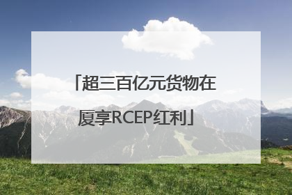超三百亿元货物在厦享RCEP红利